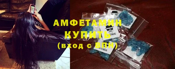 молекула духа Богородицк