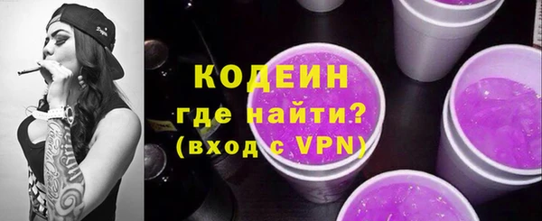 молекула духа Богородицк
