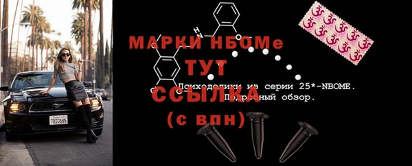 метадон Богданович