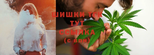 метадон Богданович