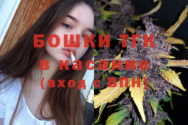 метадон Богданович