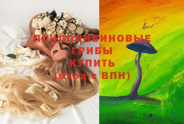 прущая мука Краснослободск
