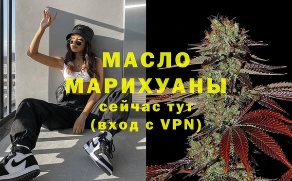 молекула духа Богородицк