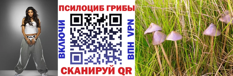 Купить  Апрелевка  Галлюциногенные грибы MAGIC MUSHROOMS 